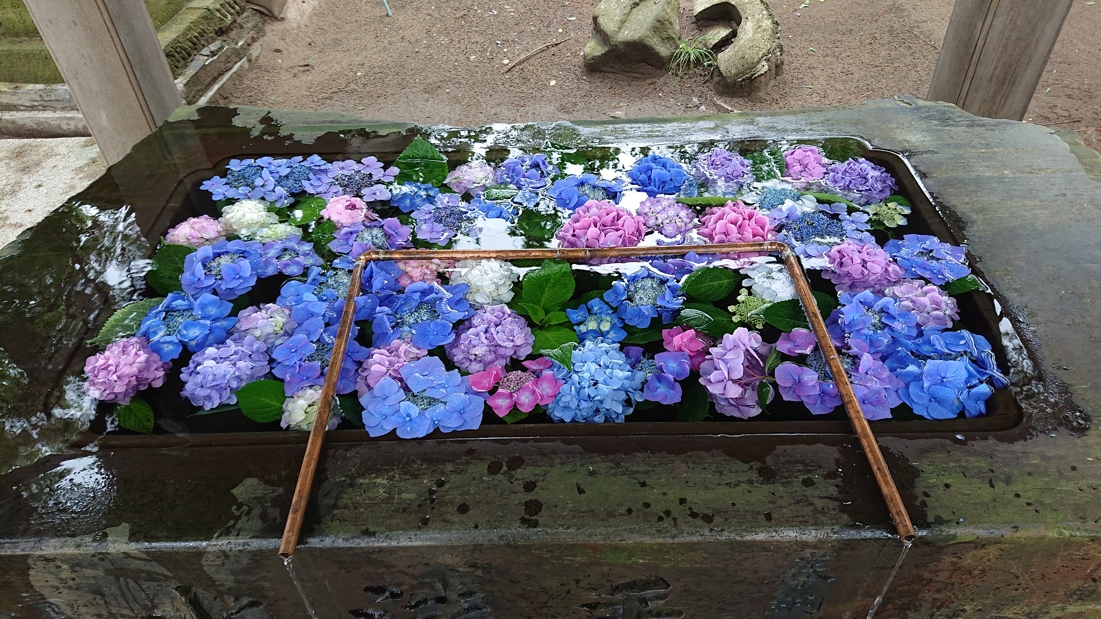 高山稲荷神社12