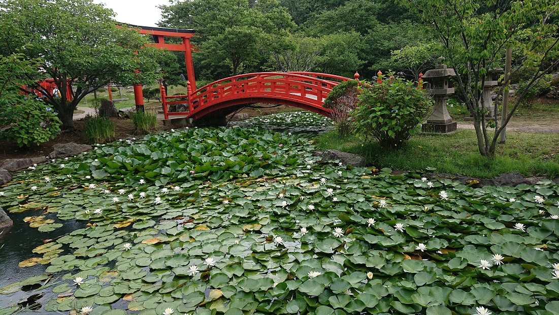 高山稲荷神社19