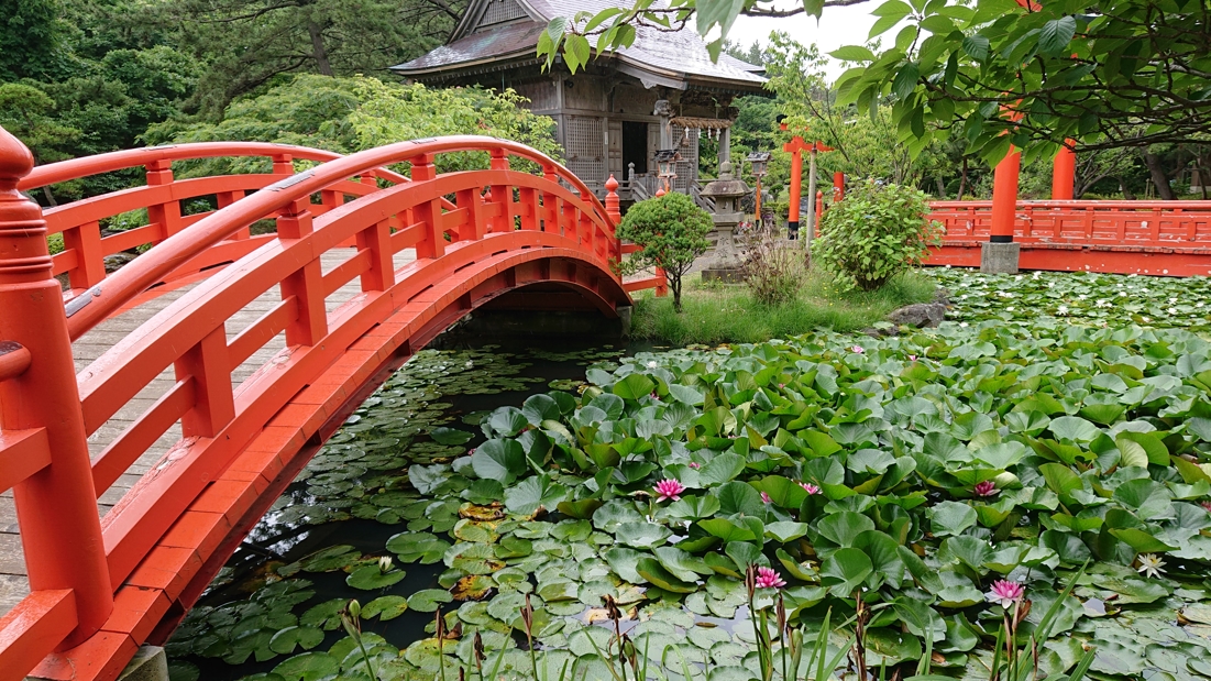 高山稲荷神社20
