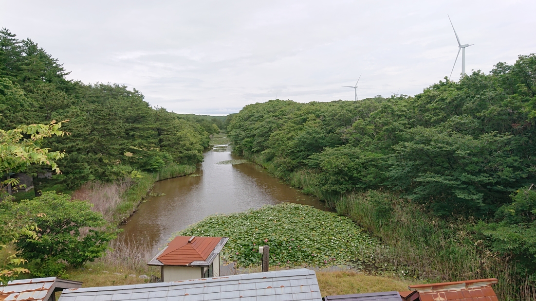 高山稲荷神社27