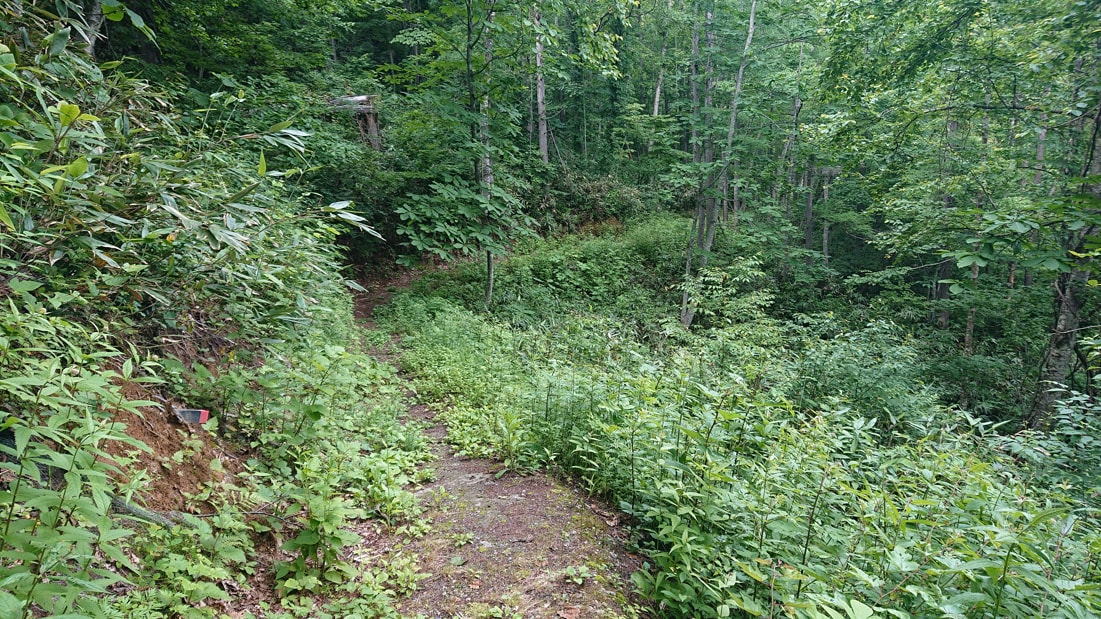 小野川不動滝18