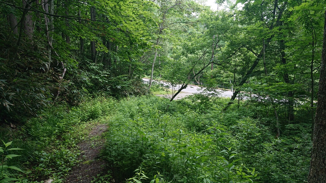 小野川不動滝19