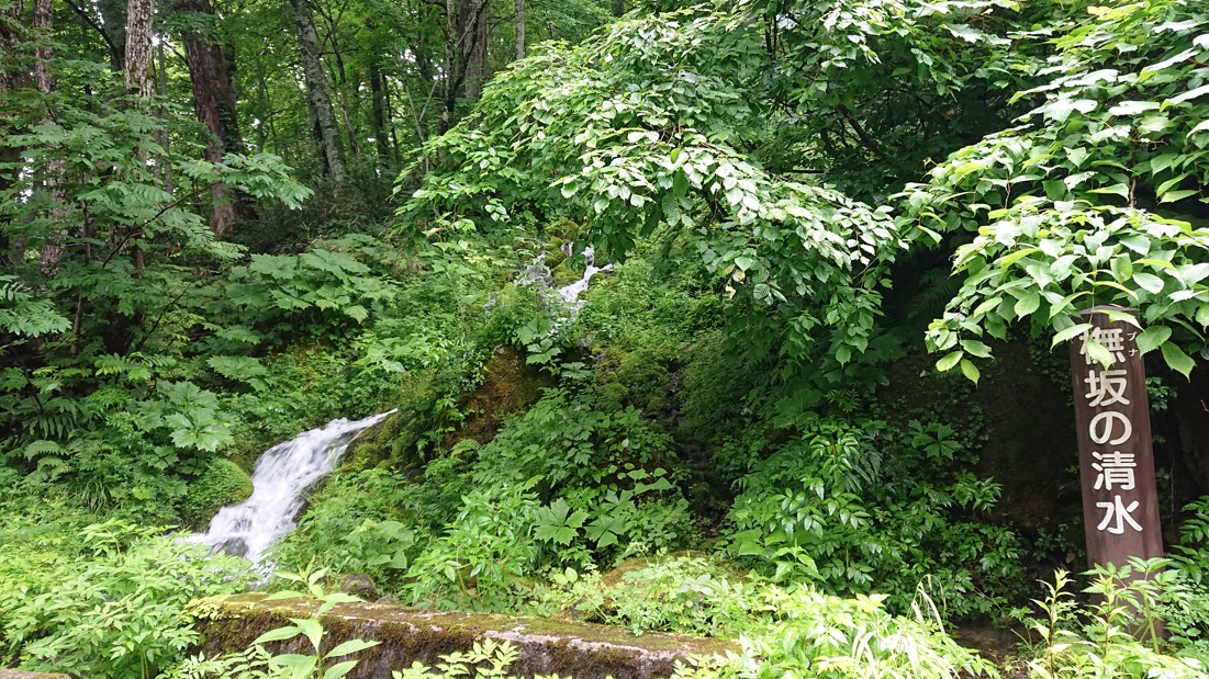 モーカケの滝11