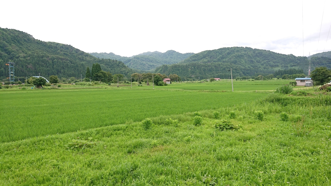 大塩天然炭酸水1