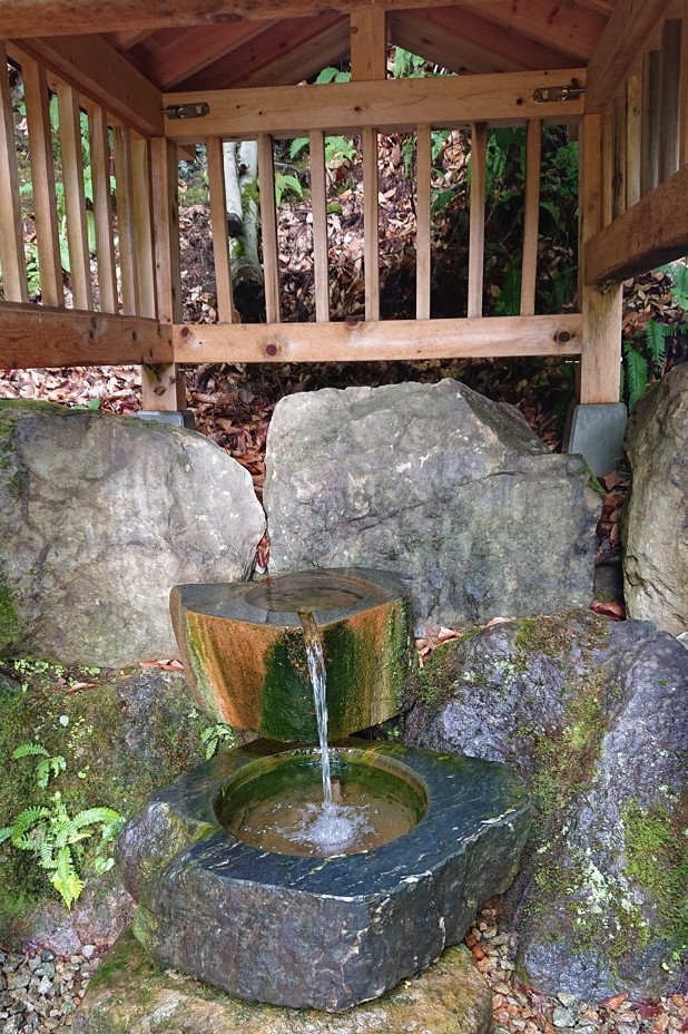 大塩天然炭酸水10