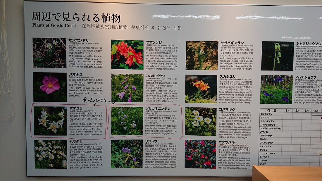 雷岩・乱曝谷15