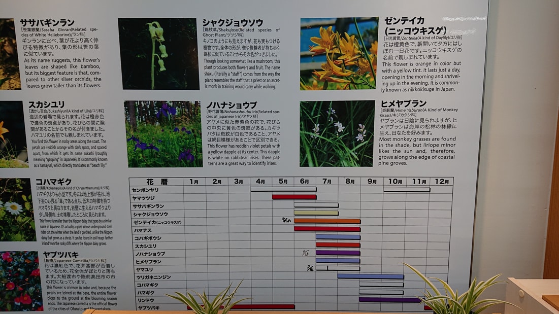 雷岩・乱曝谷16