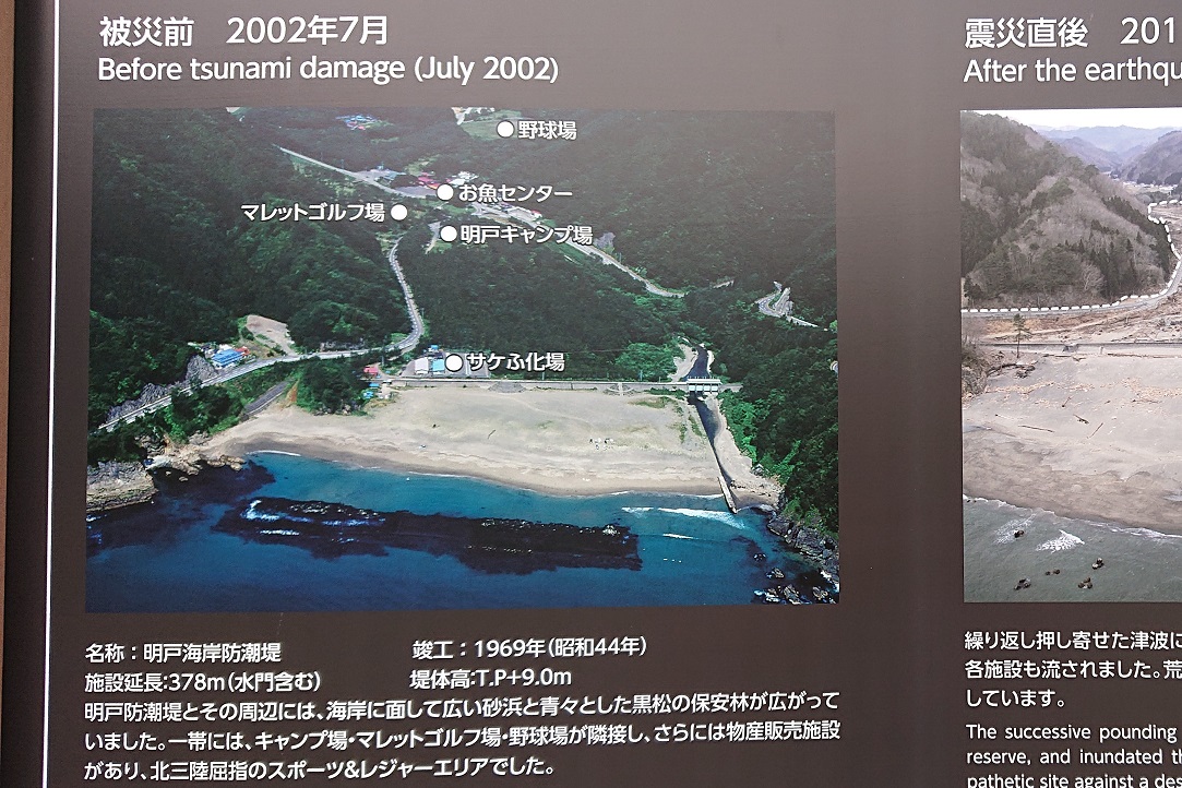 明戸海岸防潮堤2