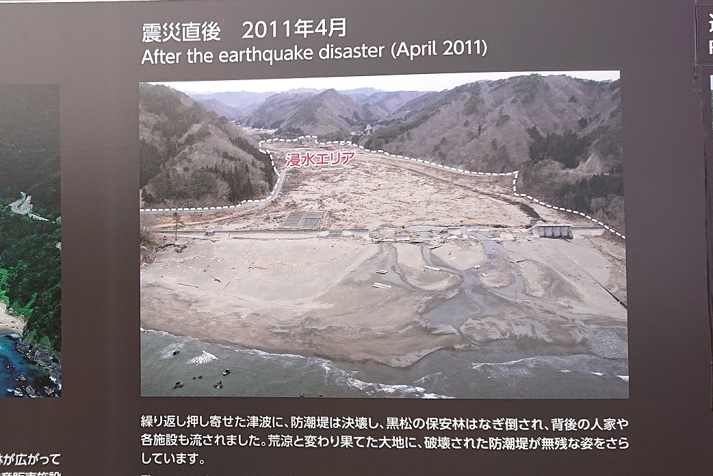 明戸海岸防潮堤3