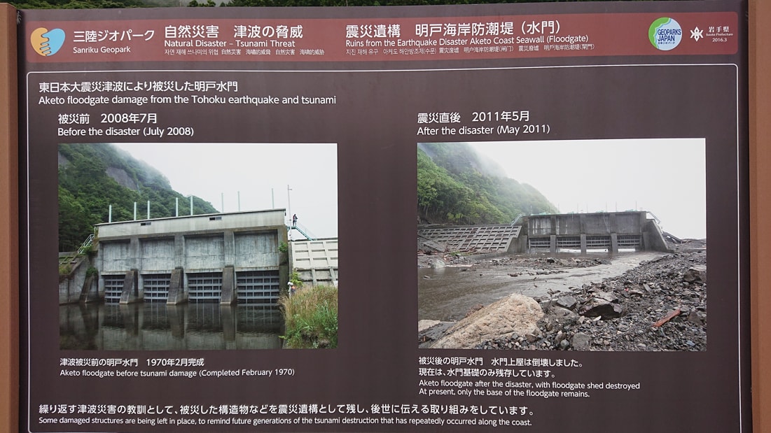 明戸海岸防潮堤14