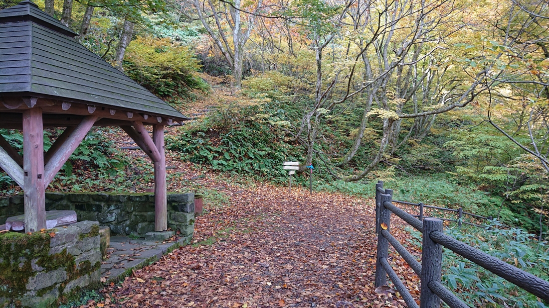 大深沢遊歩道10