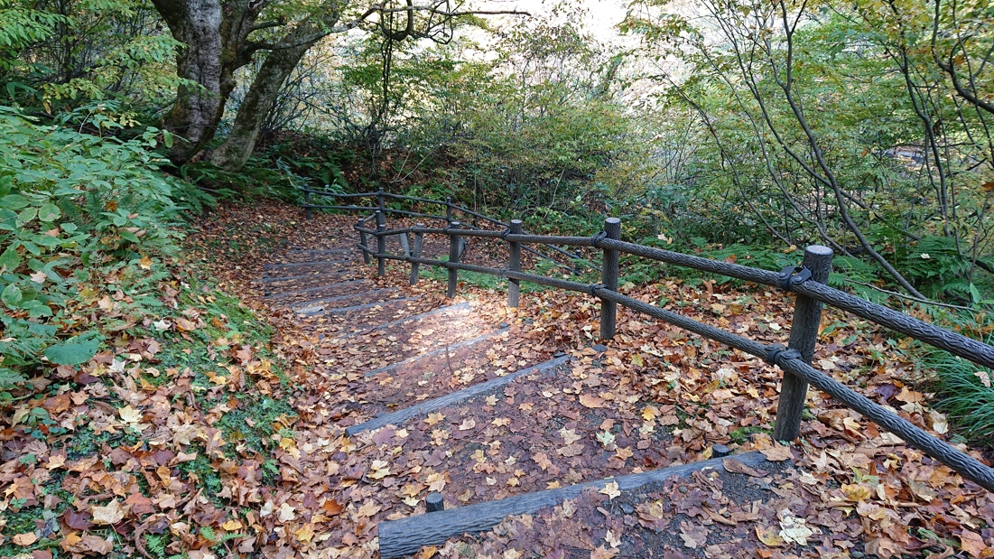 大深沢遊歩道12