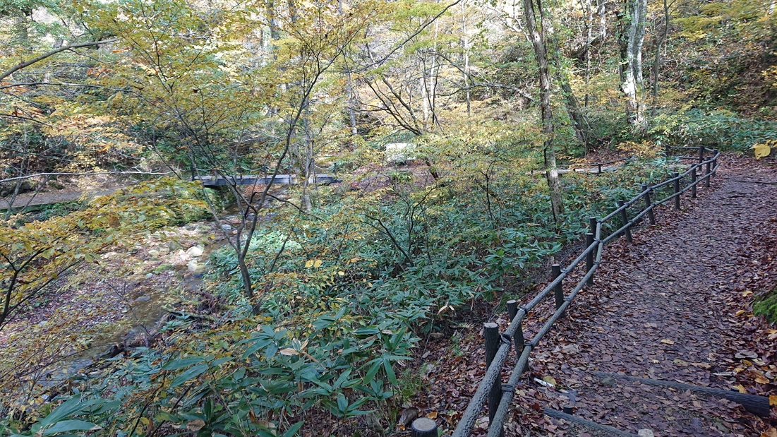 大深沢遊歩道13