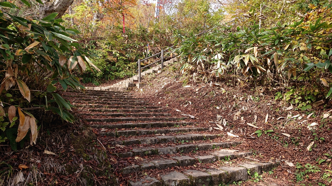 大深沢遊歩道15