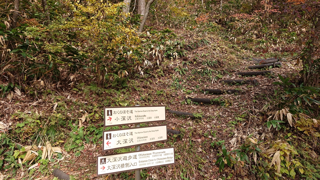 大深沢遊歩道17