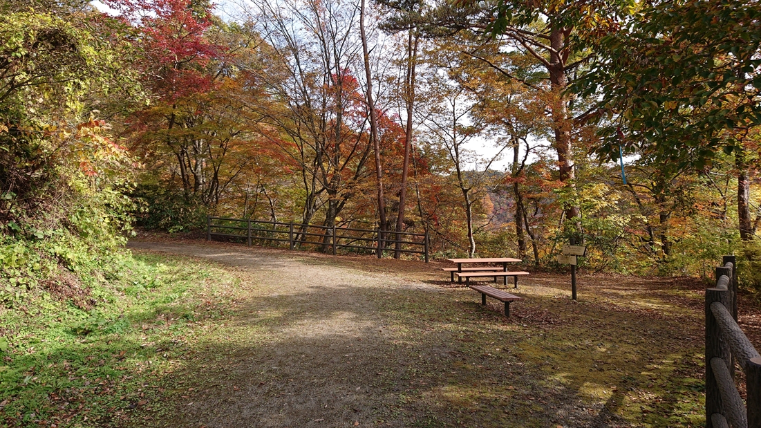大深沢遊歩道19