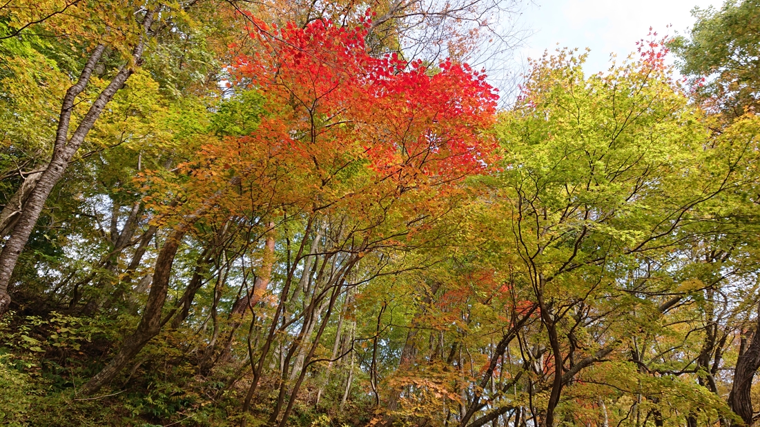 大深沢遊歩道21
