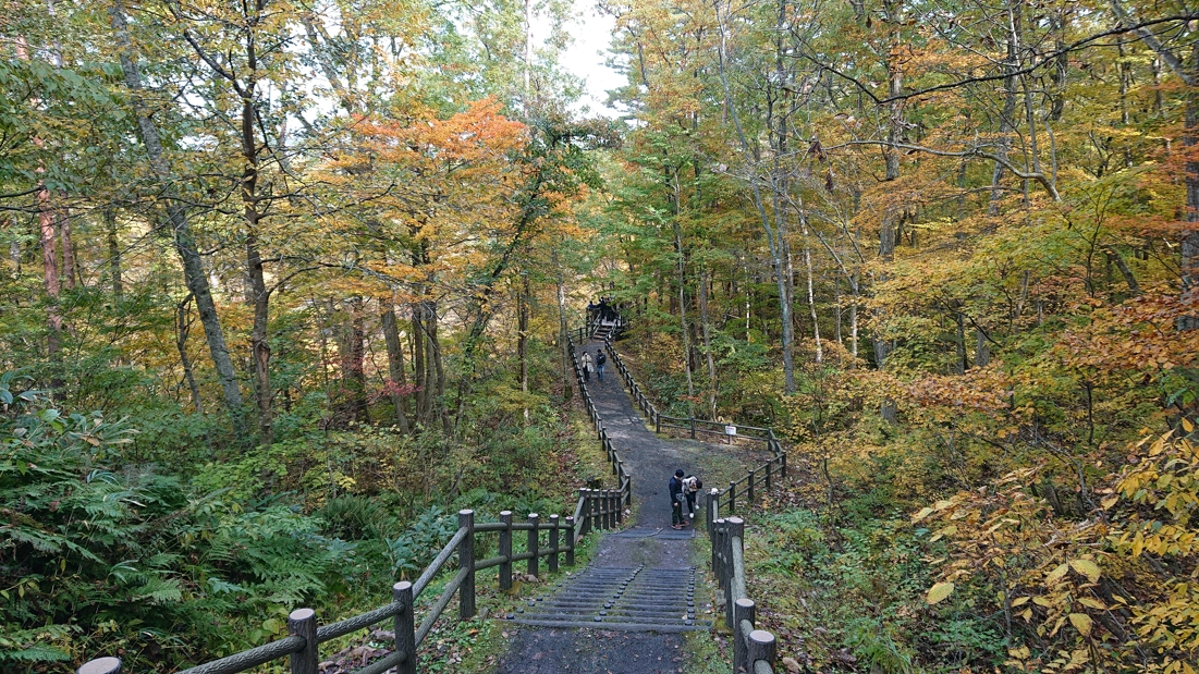 大深沢遊歩道26