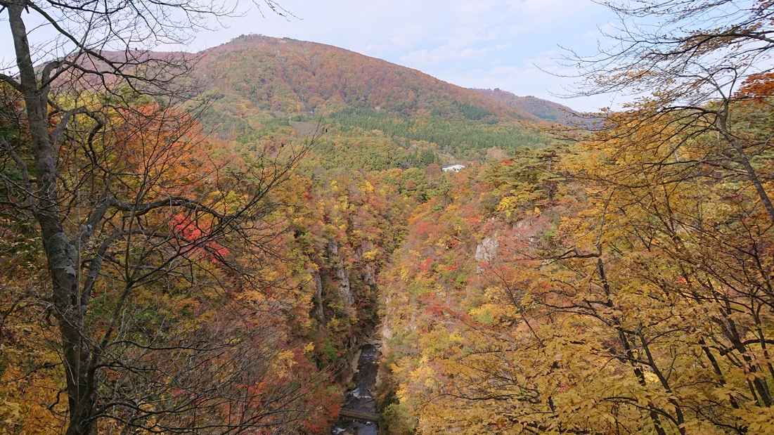 大深沢遊歩道28
