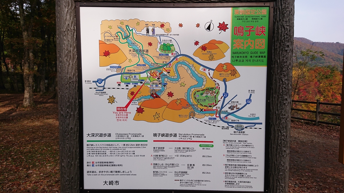 大深沢遊歩道29