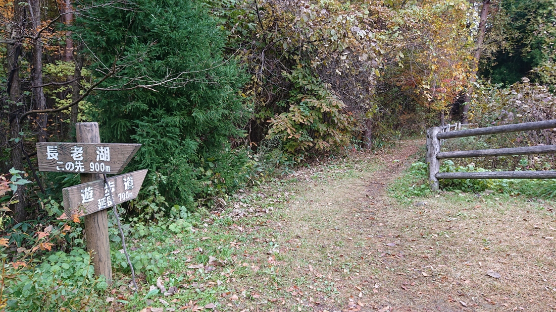 長老湖19