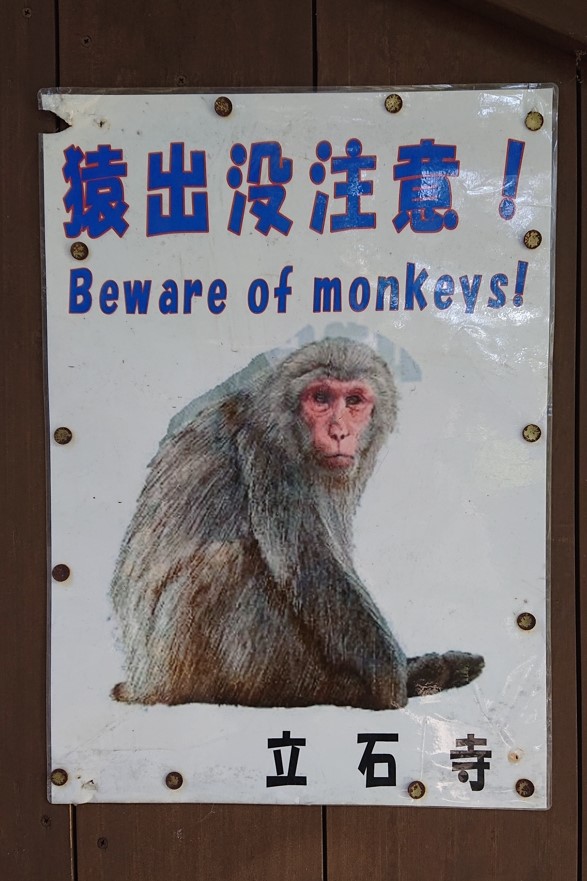 立石寺（山寺）7