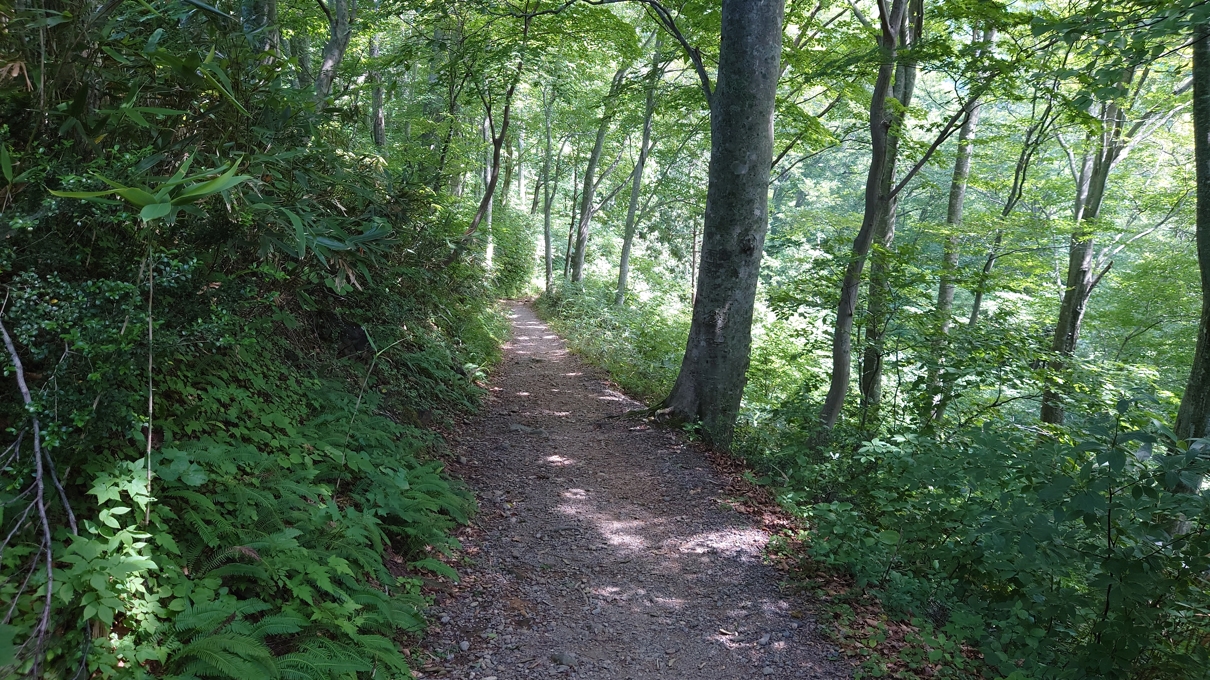 一・二ノ滝渓谷7