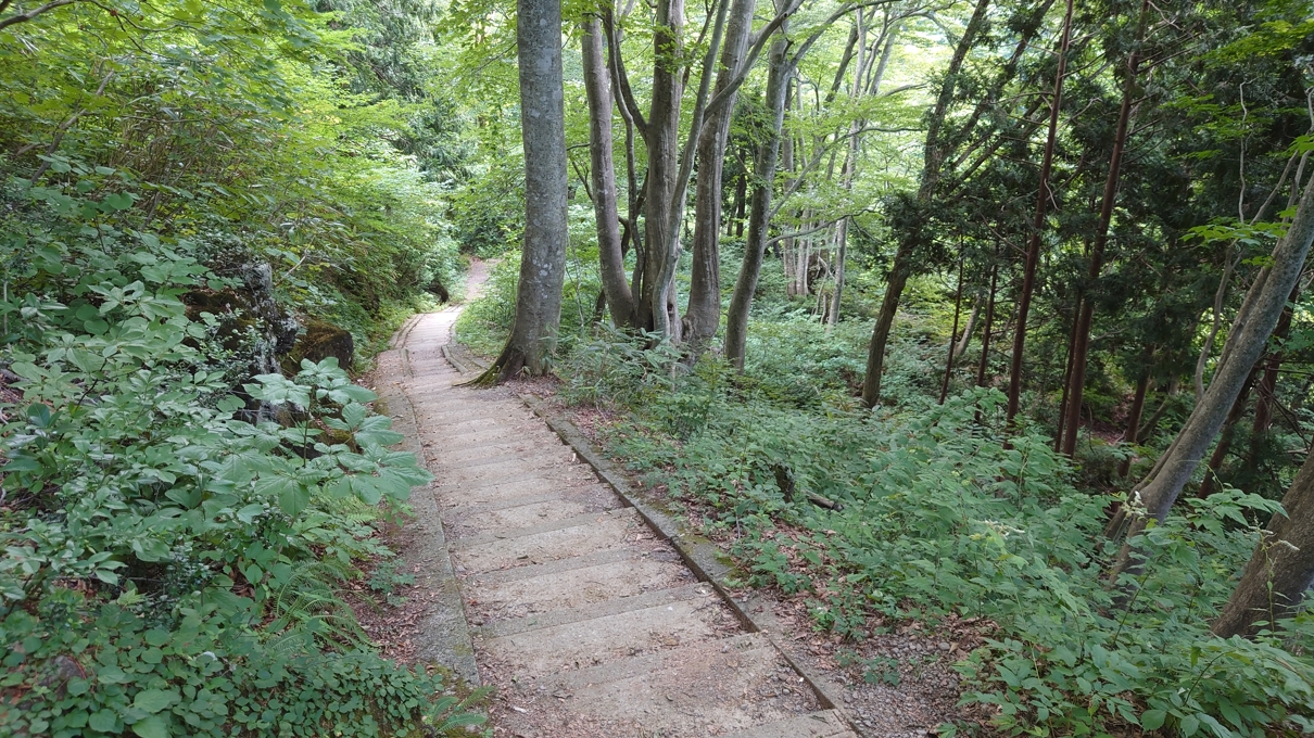 一・二ノ滝渓谷8