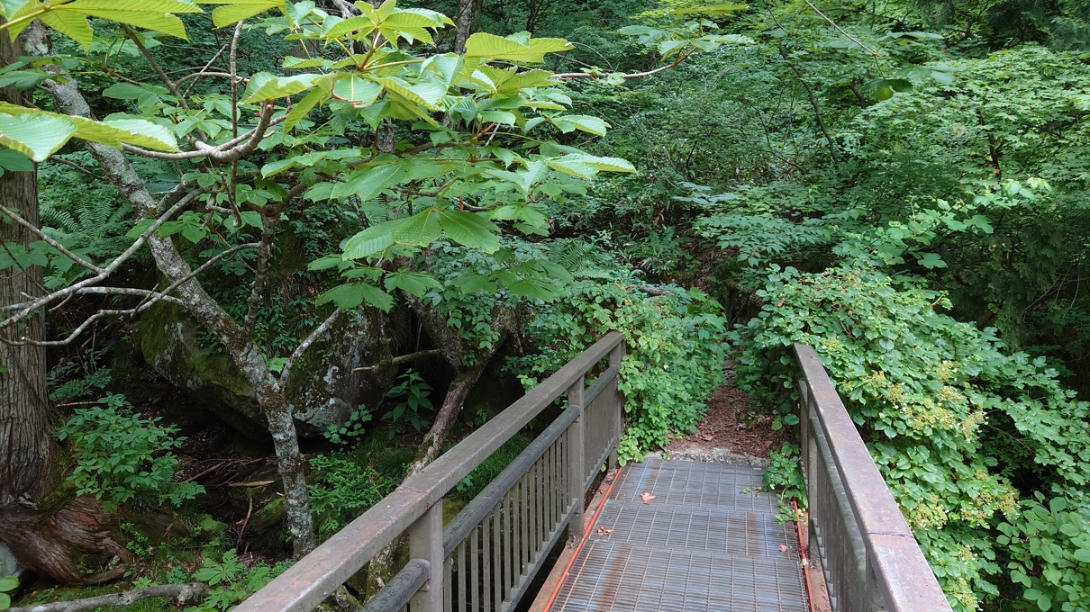 一・二ノ滝渓谷24