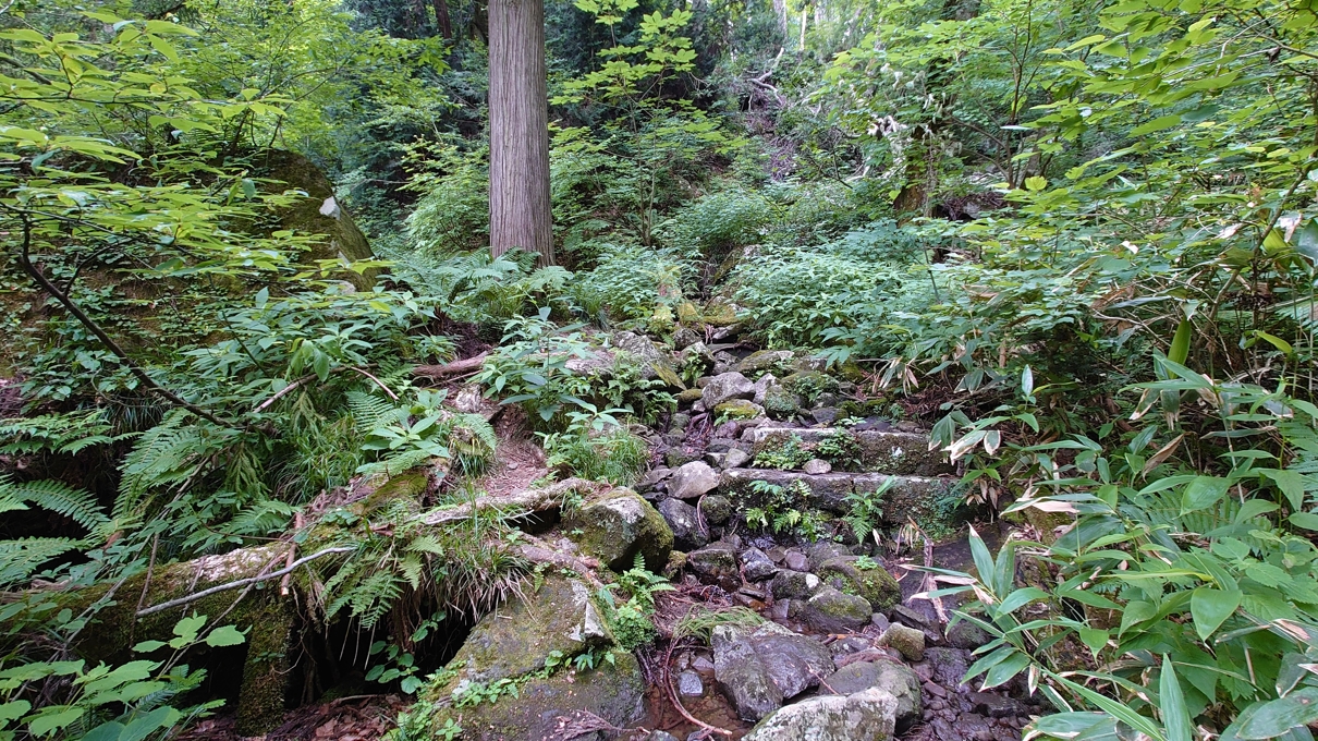 一・二ノ滝渓谷25