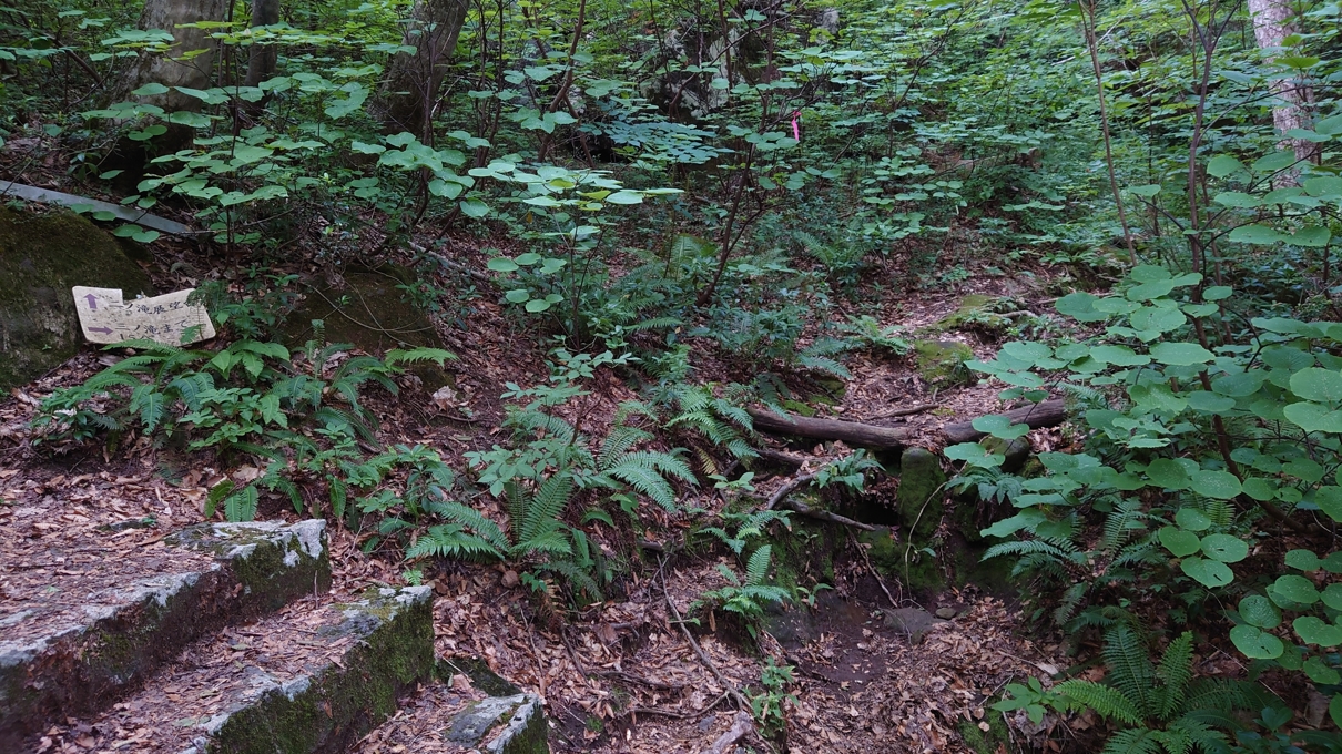 一・二ノ滝渓谷36