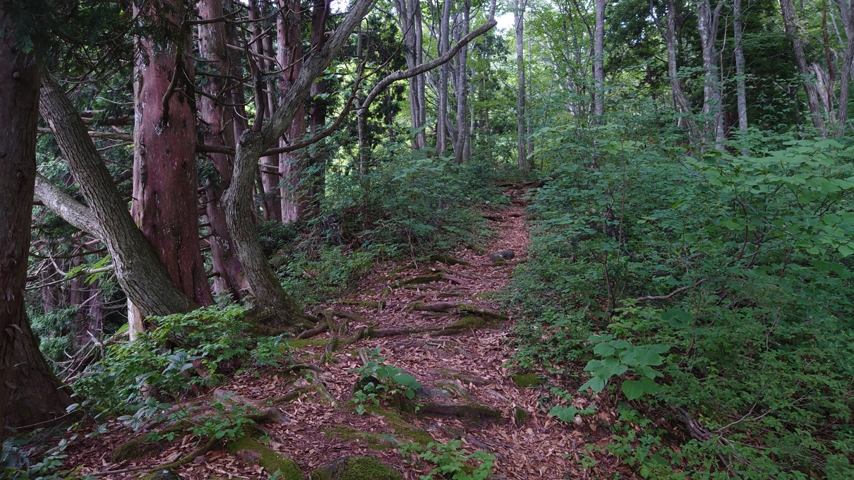 一・二ノ滝渓谷38