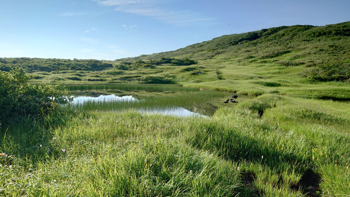月山神社本宮11
