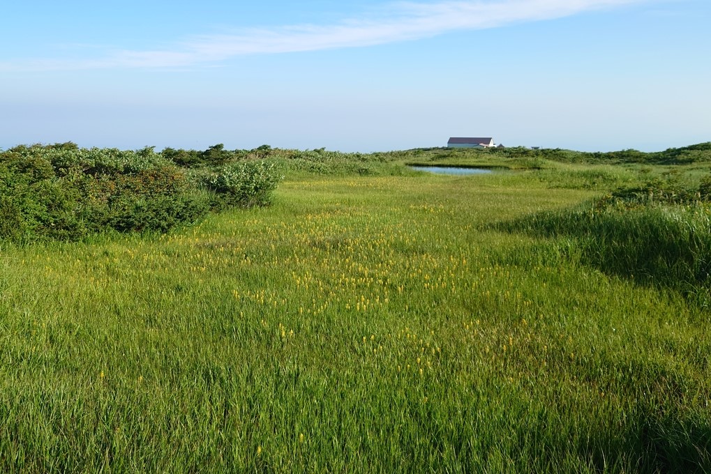月山神社本宮12