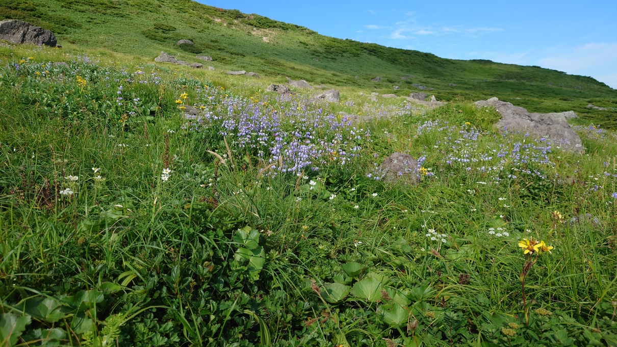 月山神社本宮19