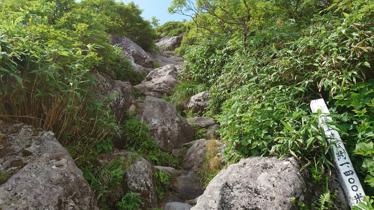 月山神社本宮29