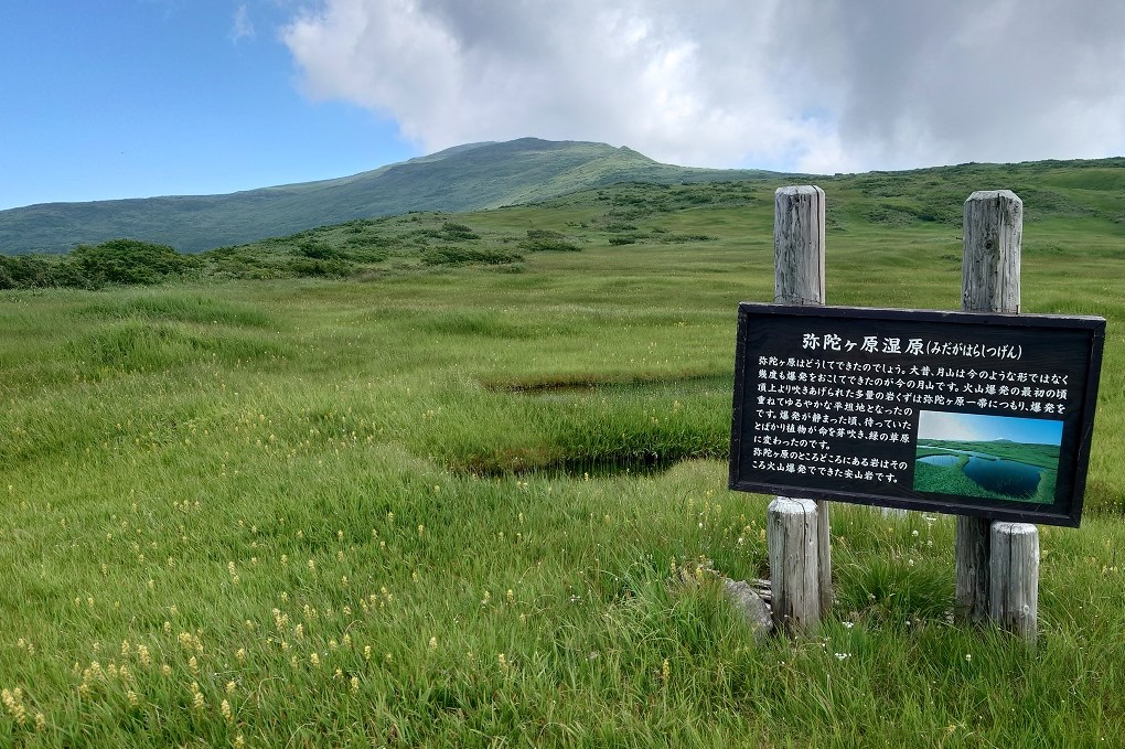 弥陀ヶ原湿原11