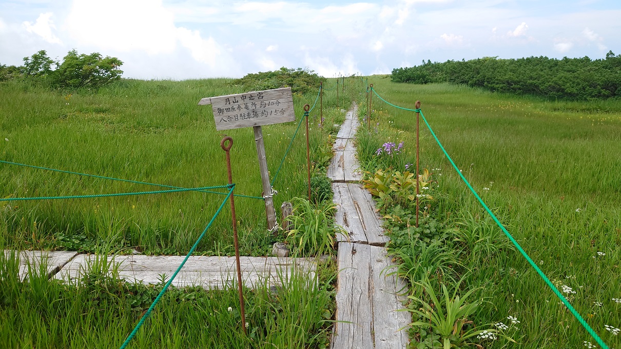 弥陀ヶ原湿原13