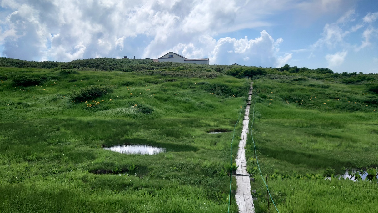 弥陀ヶ原湿原15