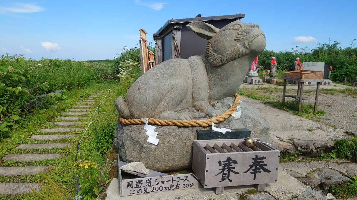弥陀ヶ原湿原19
